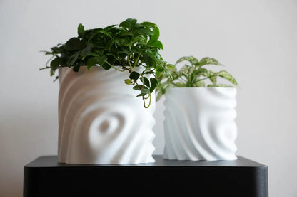 Pot de Plante Fondant