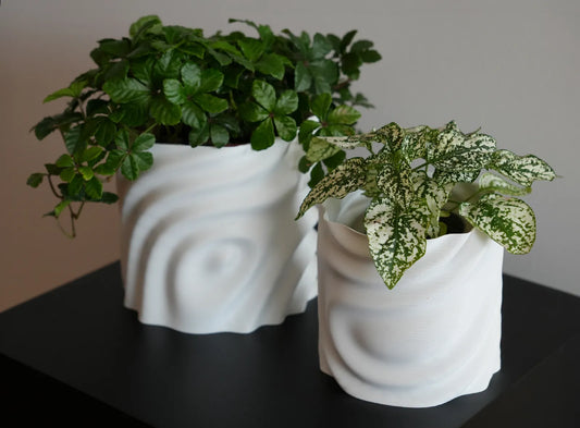 Pot de Plante Fondant