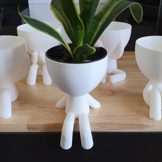 Hydroponic Self-Watering Seeds starter Robert Planters