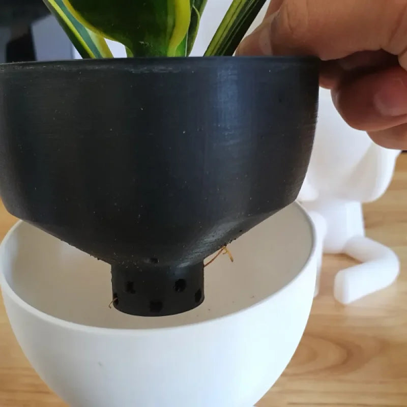 Hydroponic Self-Watering Seeds starter Robert Planters