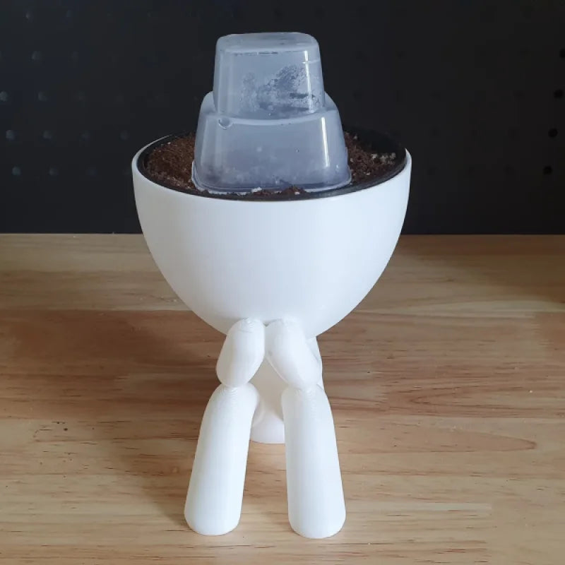 Hydroponic Self-Watering Seeds starter Robert Planters