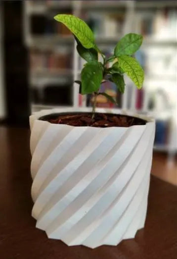 Pot de plante torsadé (4 tailles)