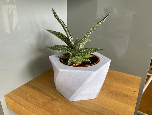 Pot de Plante en Béton Spiral avec Moule