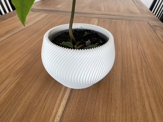 Pot de plante tordu