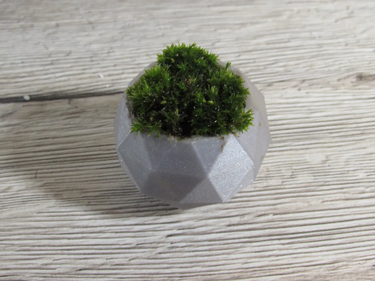 Pot de Plante