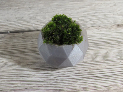 Pot de Plante