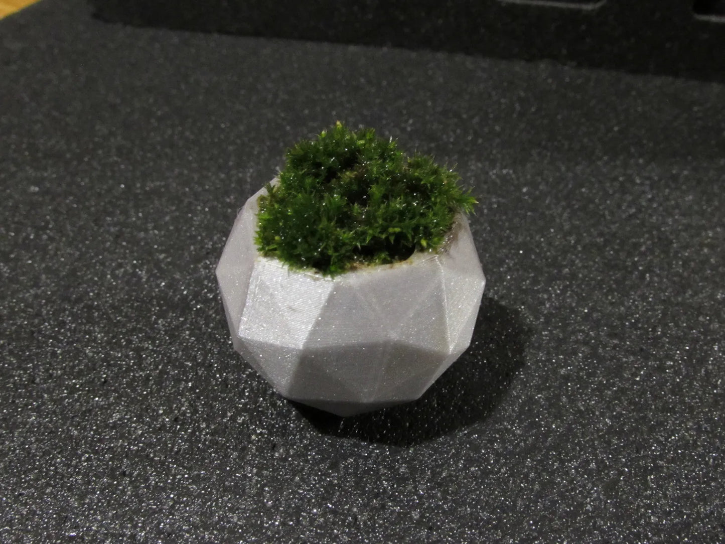 Pot de Plante