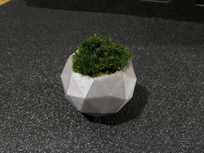 Pot de Plante