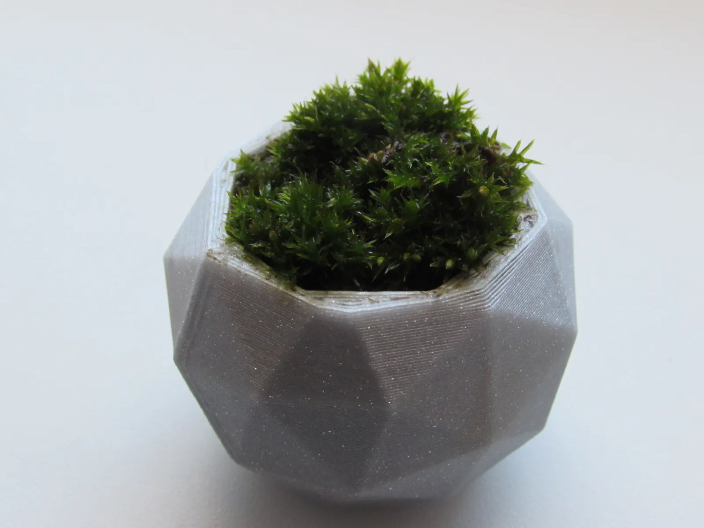 Pot de Plante