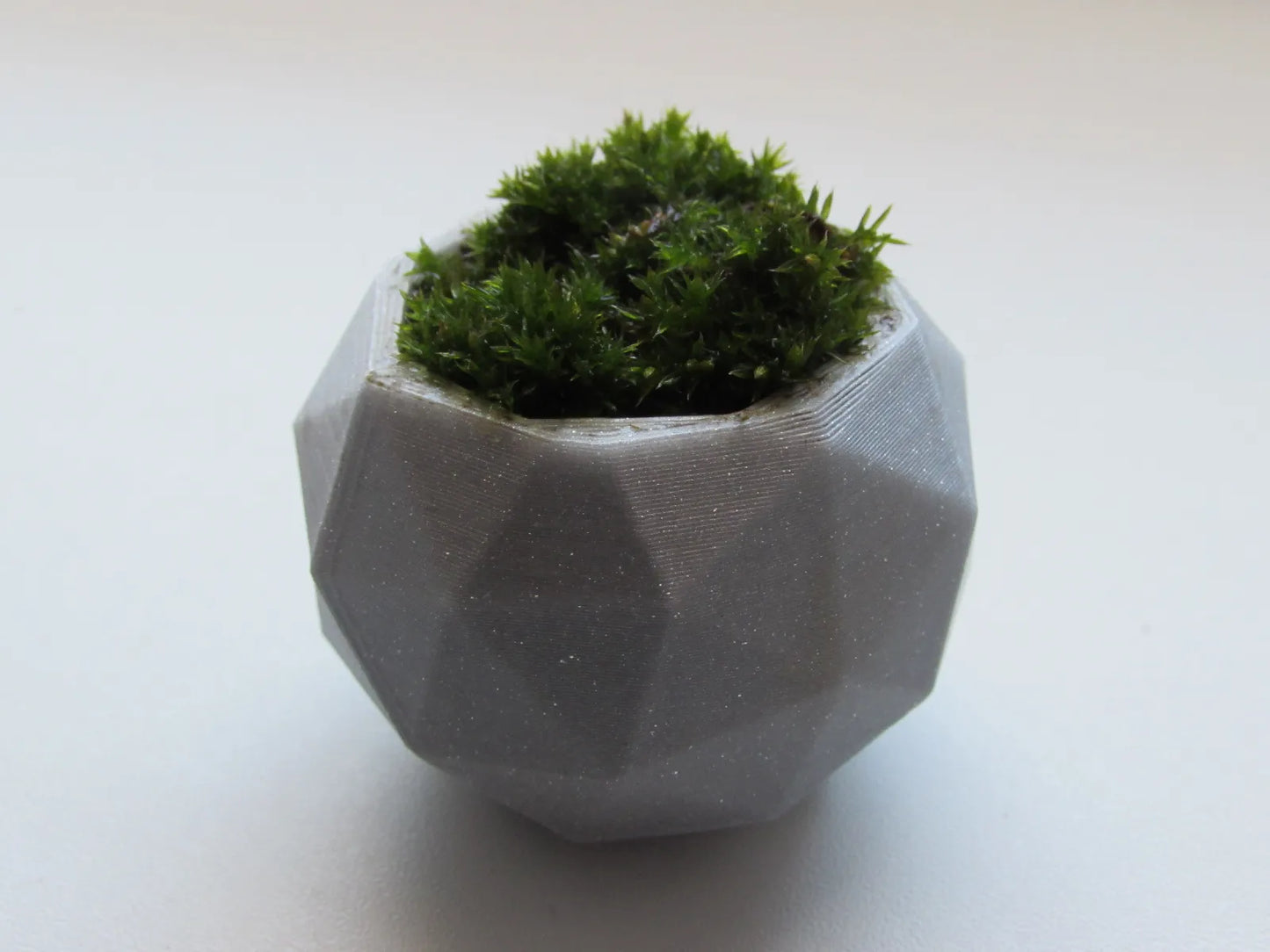 Pot de Plante