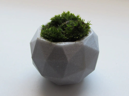 Pot de Plante