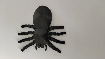 Araignée articulée