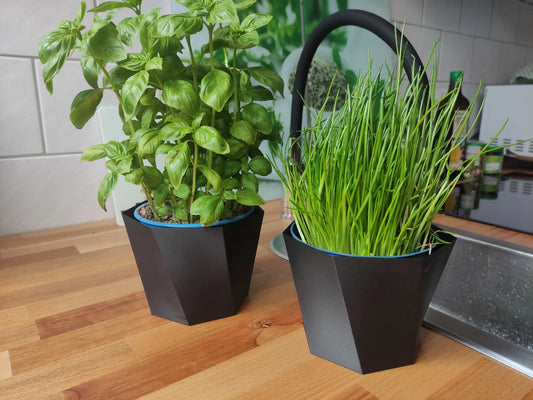 Pot de Plante Basique