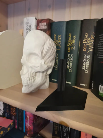 Étagères de livre anatomie - Écorché de l'anatomie humaine