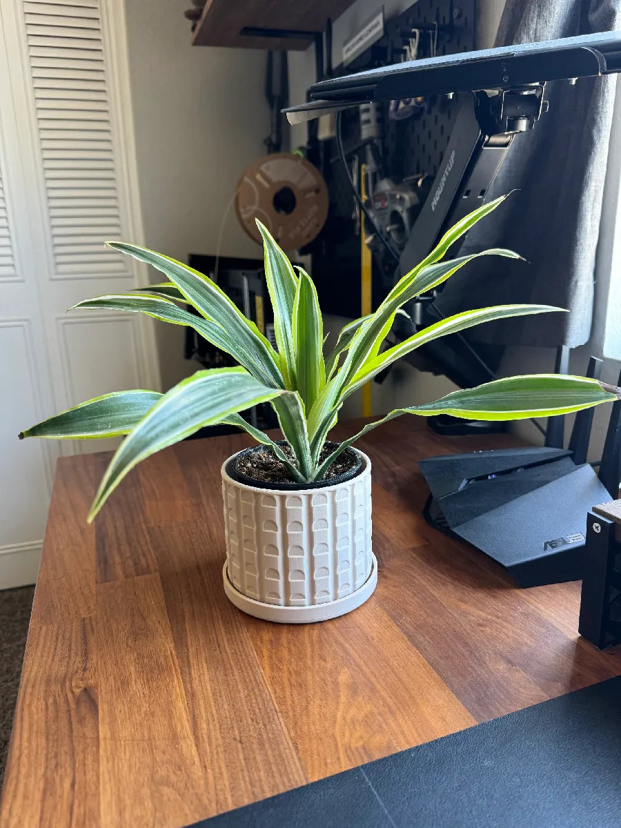 Pot de plante moderne du milieu du siècle avec soucoupe
