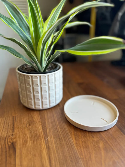 Pot de plante moderne du milieu du siècle avec soucoupe