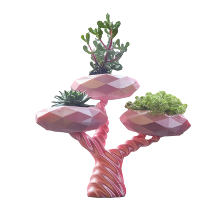 Jardinière Bonsai  - PolyPrestige3D