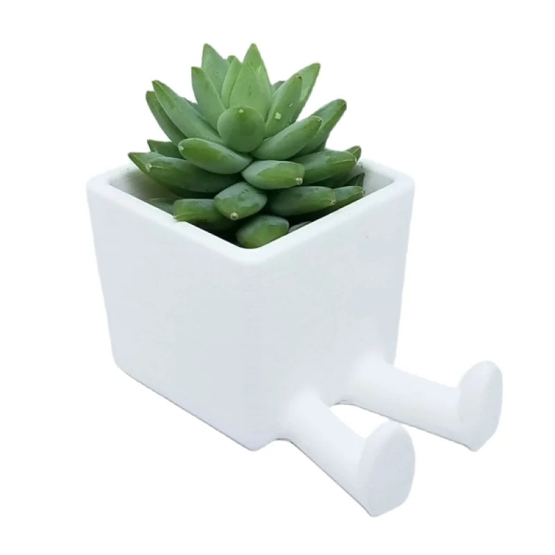 Jardinière Simple en Plastique Polyvalente - PolyPrestige3D