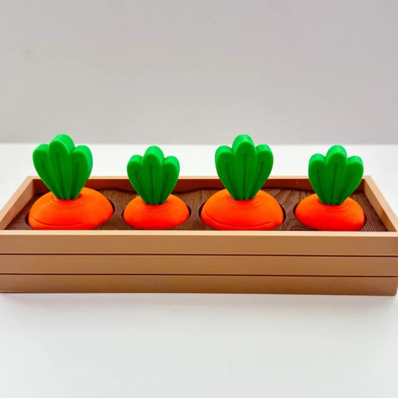 Jouet de Fidget en Couches de Jardin de Carottes