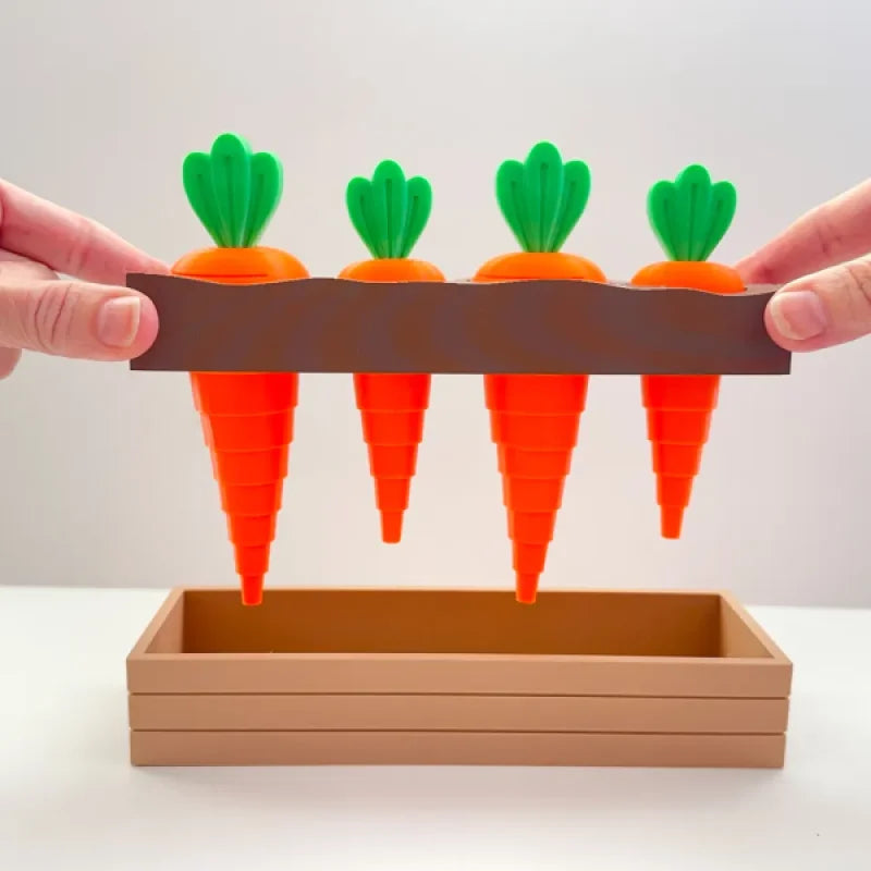Jouet de Fidget en Couches de Jardin de Carottes