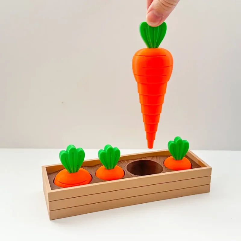 Jouet de Fidget en Couches de Jardin de Carottes