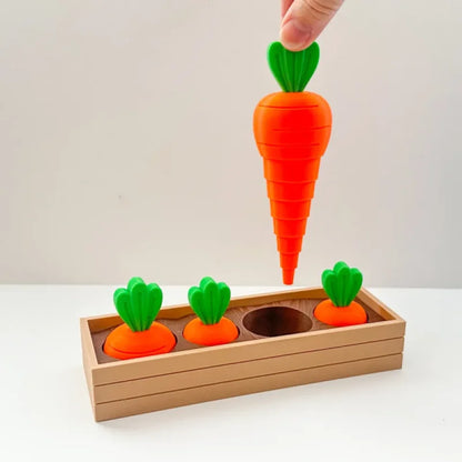 Jouet de Fidget en Couches de Jardin de Carottes