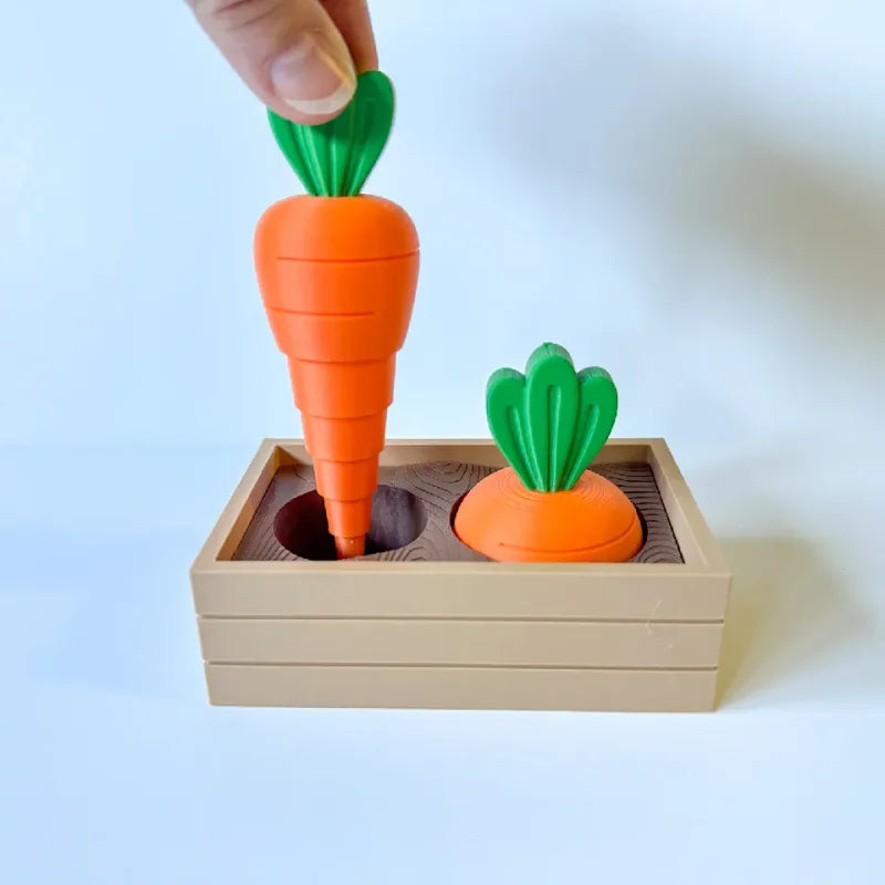 Jouet de Fidget en Couches de Jardin de Carottes