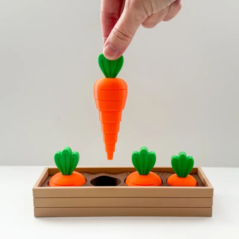 Jouet de Fidget en Couches de Jardin de Carottes