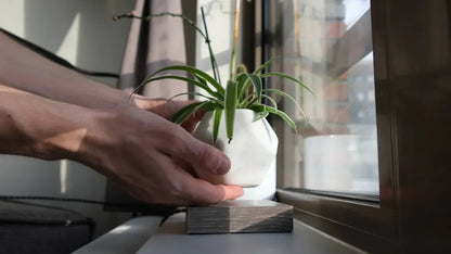 Pot de Plante Flottant
