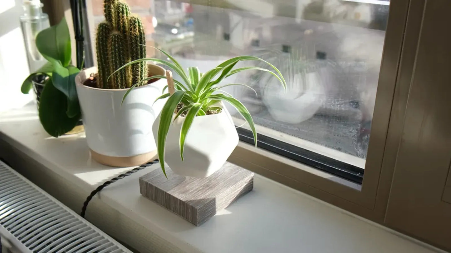 Pot de Plante Flottant