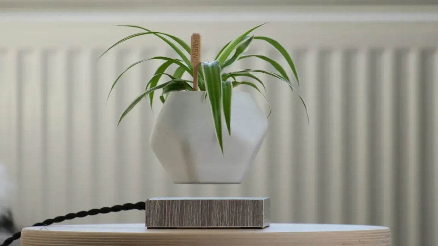 Pot de Plante Flottant