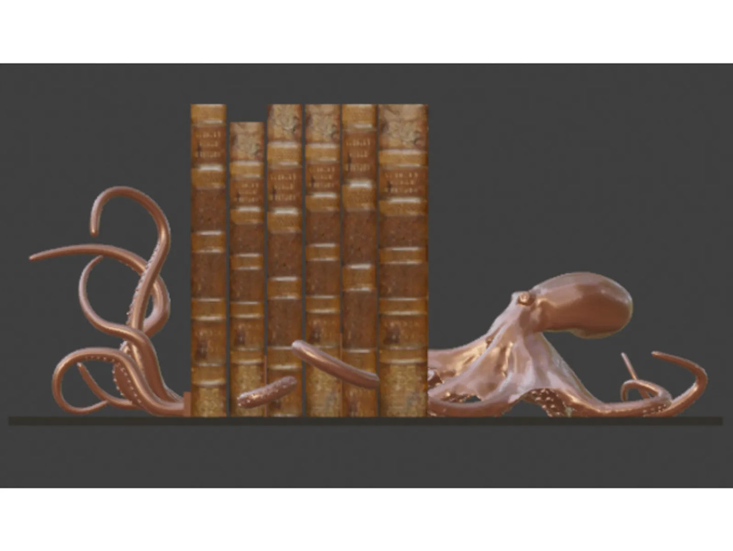 Serre-livres Octopus
