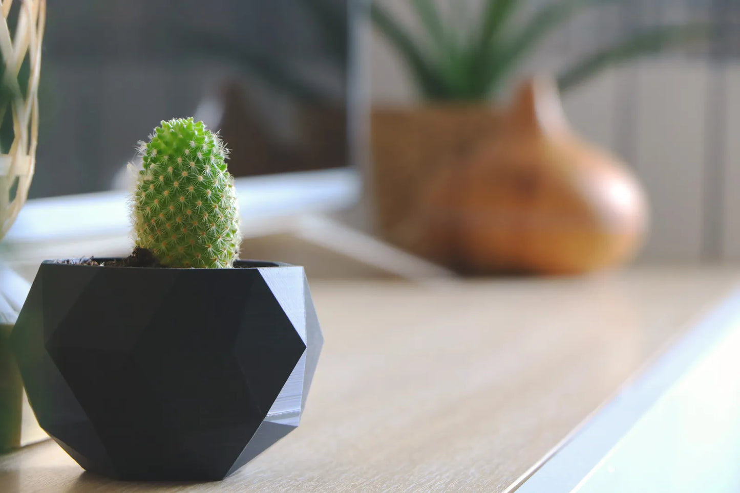 Pot de Plante