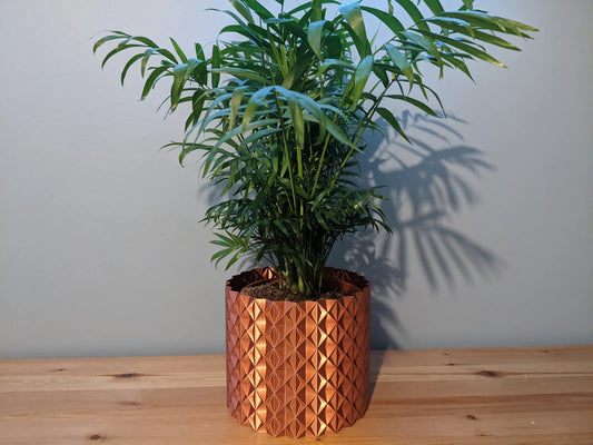 Grand Pot de Plante "Gladis"