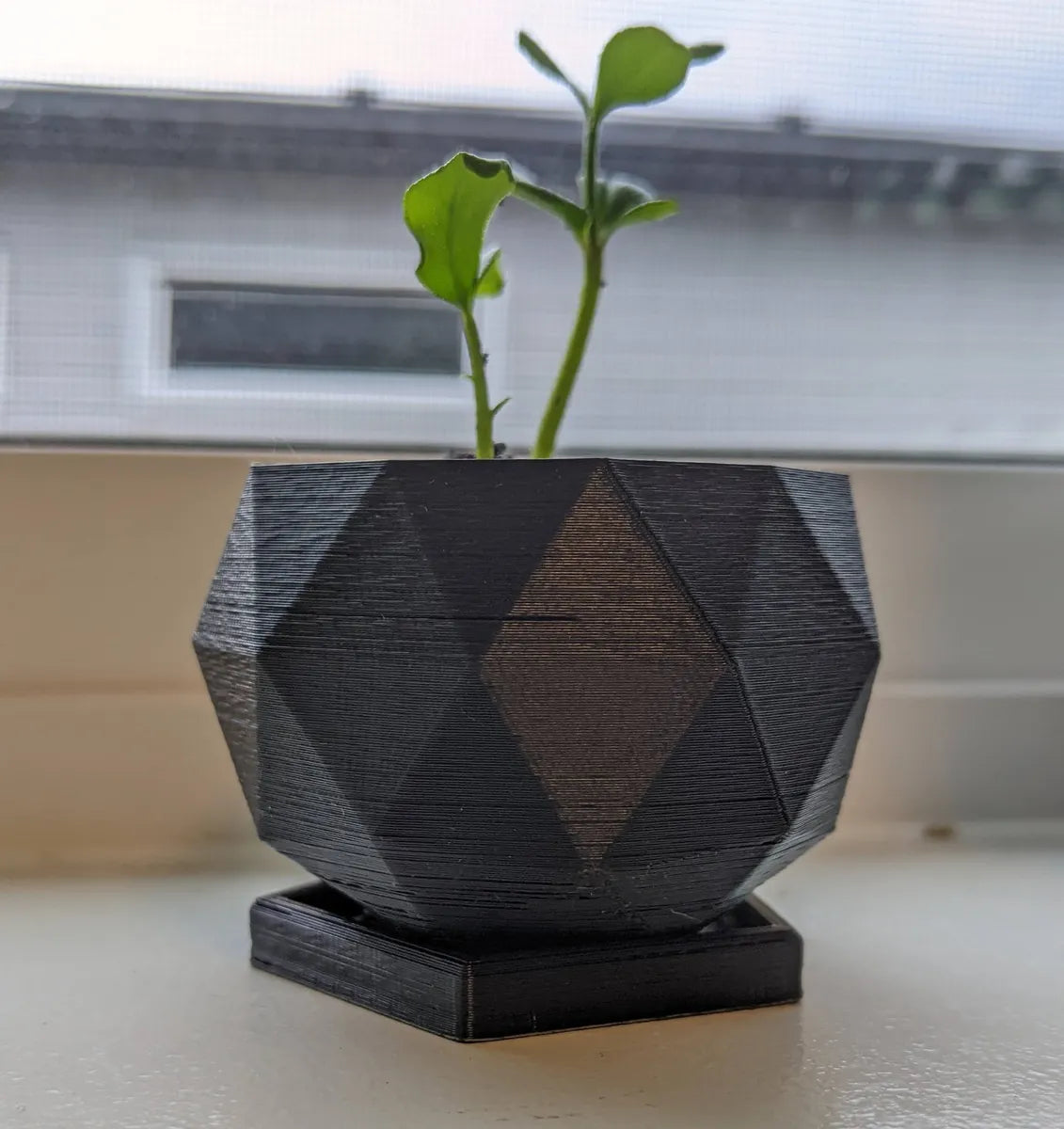 Plateau pour pot de plante par Marc Izquierdo