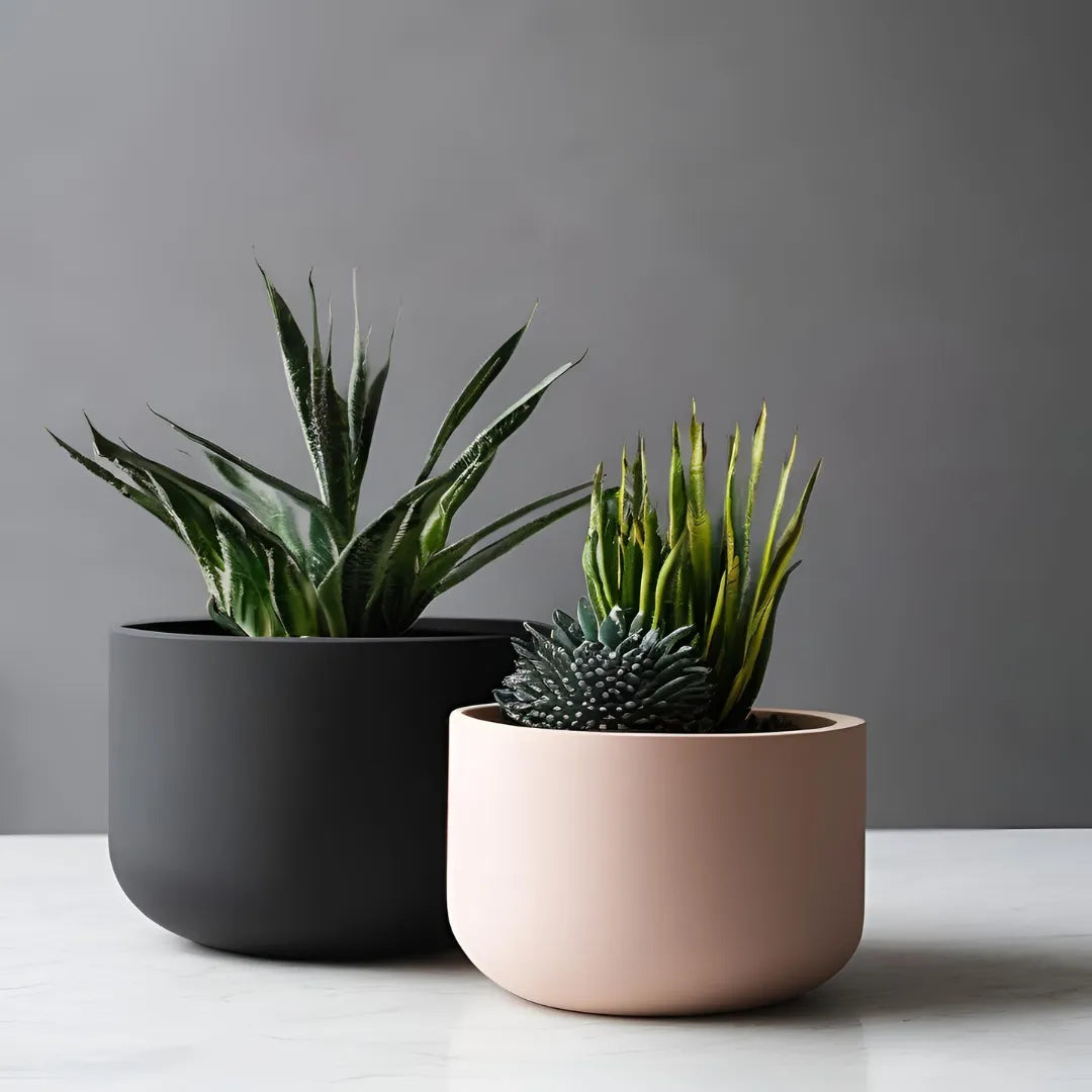 Pot de plante rond minimaliste
