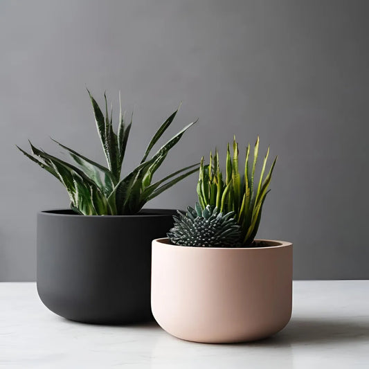 Pot de plante rond minimaliste
