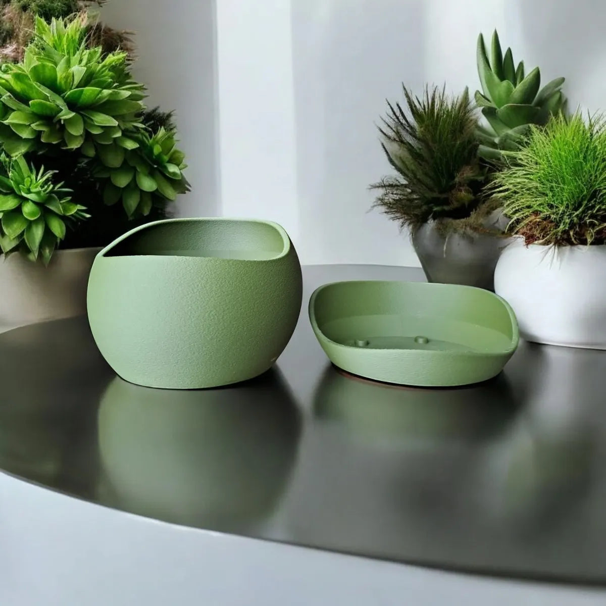 Pot de Fleurs en Peau Requin - Soucoupe Élégante pour Décoration et Style