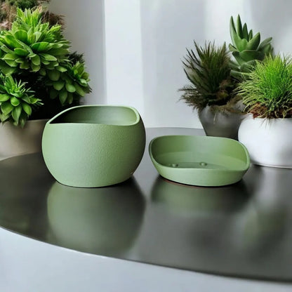 Pot de Fleurs en Peau Requin - Soucoupe Élégante pour Décoration et Style