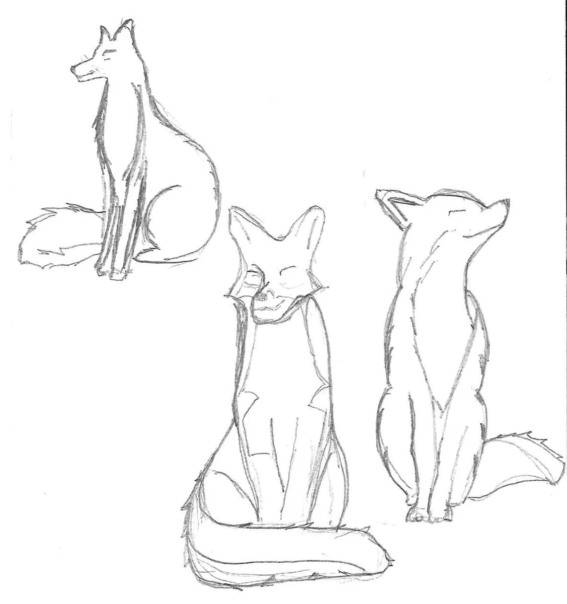 Serre-Livre Renard