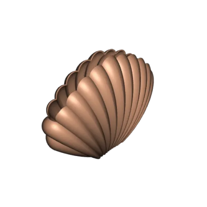 Sea Shell Vase