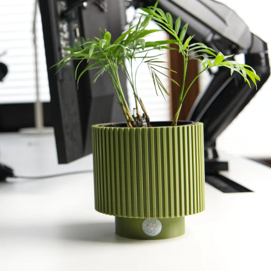 Pot de Plante Moderne