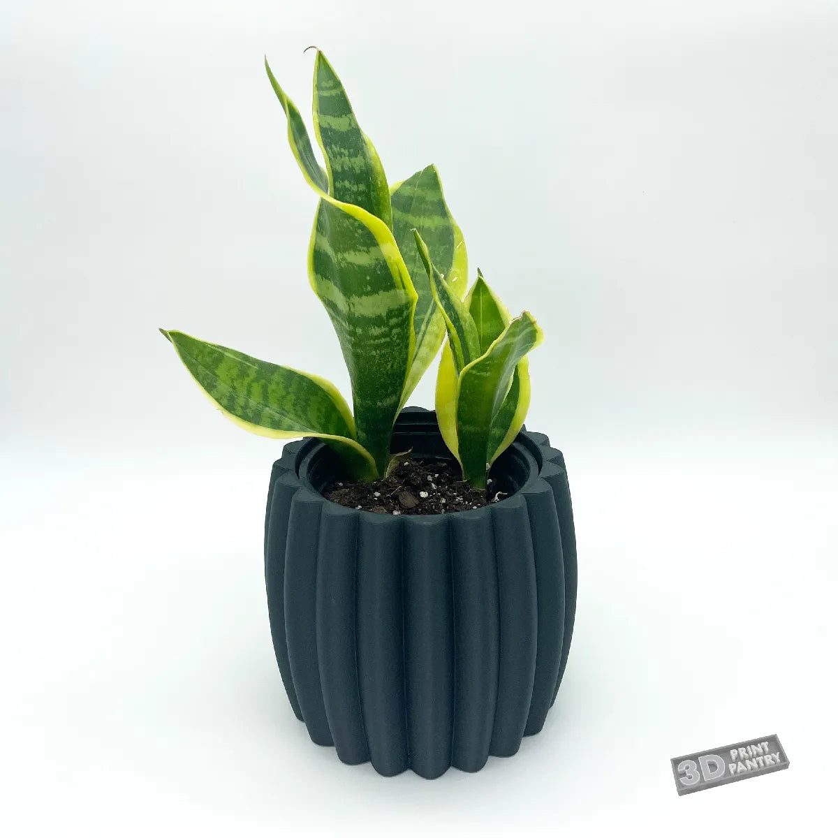 Pot de Plante Décoratif Rayé