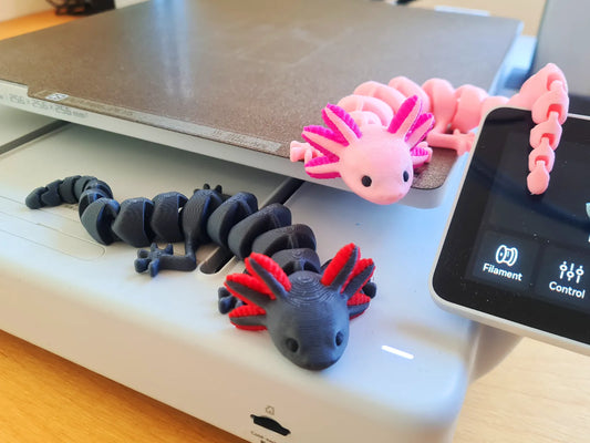 Axolotl articulé (Multicolore)