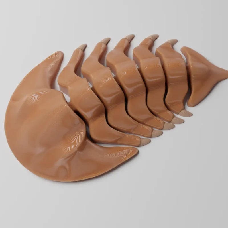 Trilobite Articulé