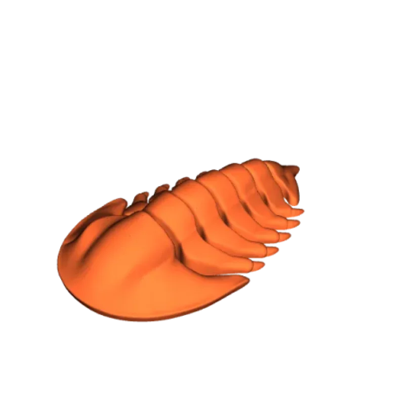 Trilobite Articulé