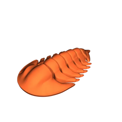 Trilobite Articulé