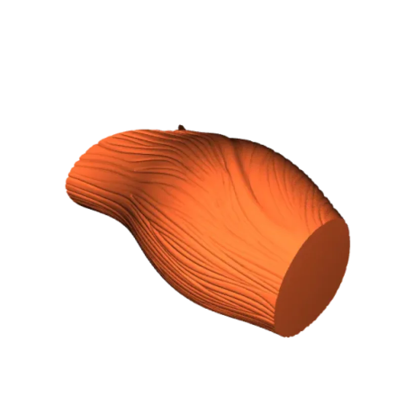 Tulipa Vase