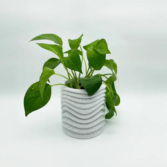 Pot de Plante Ondulé